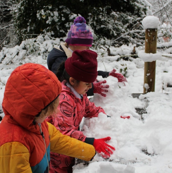 News » Winter Comes To Windmill Wood